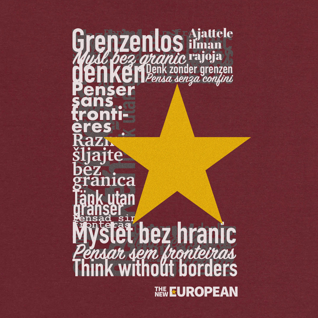 TNE Translation t-shirt burgundy
